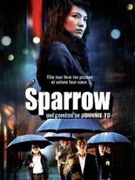 文雀 在线观看,在线观看，揭秘神秘古玩界的智慧较量  第1张